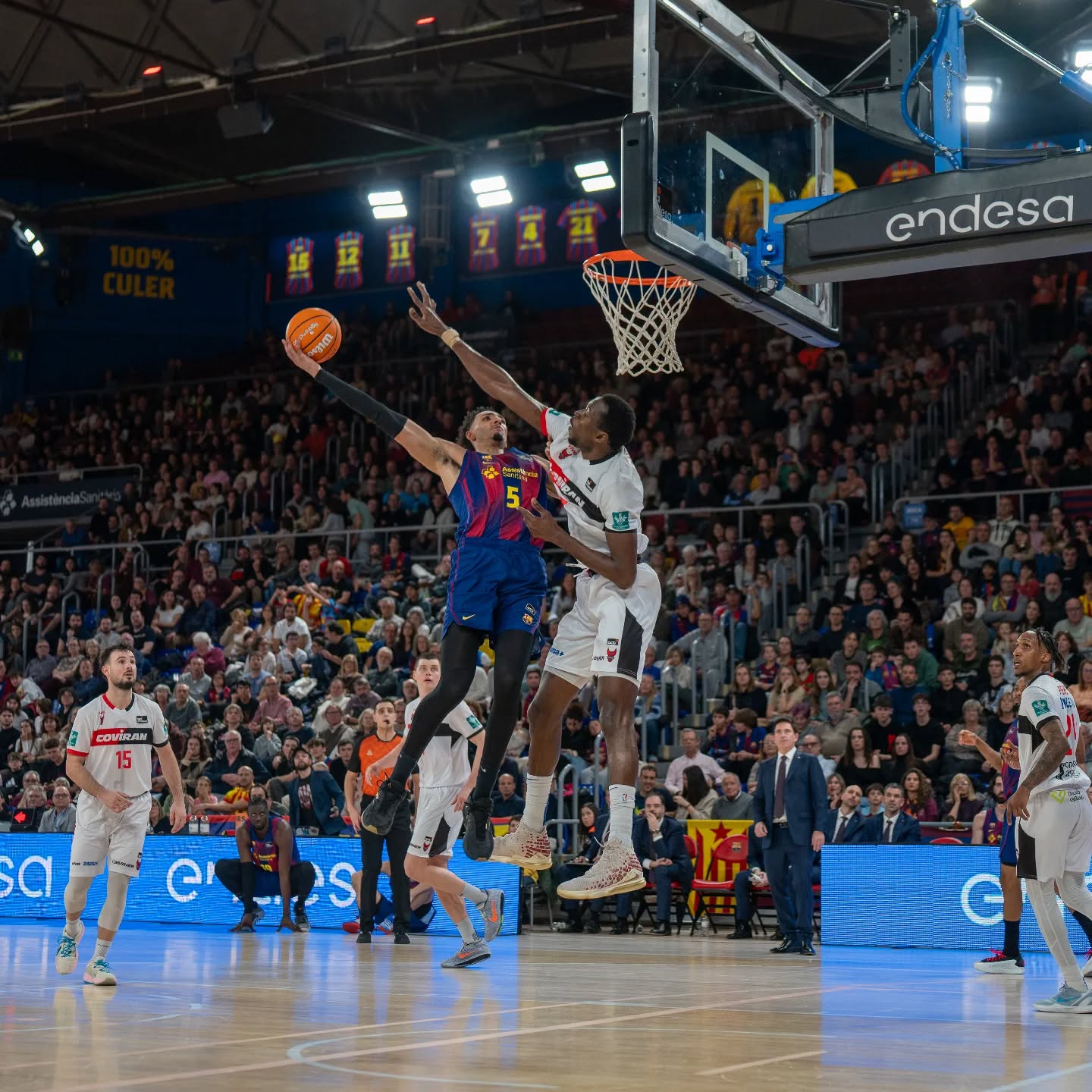📷 @tgo.miles
Miles Norris! 

#BarçaBasket #FCBBàsquet #LigaEndesa #ACB
#PalauBlaugrana BasketCatalà Bàsquet SportsPhotography BasketballPhotography
SonyAlpha A7SIII Tamron35150 TamronLens